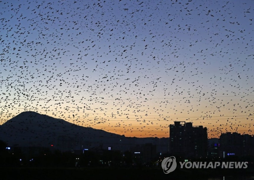 관련 사진