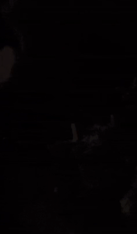 0003527169_002_20210712180705094.gif?typ