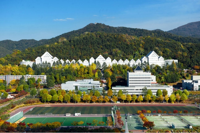 조선대 스포츠과학연구소, 교육부 학술지원사업 선정...6년간 20억 지원 대표이미지