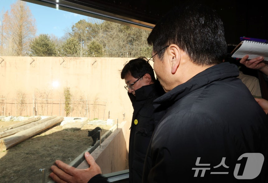 22일 광주 북구 생용동 우치공원 동물원에서 김성환 기후에너지환경부 장관이 강기정 시장에게 판다 수용 여건에 대한 설명을 들으며 곰을 바라보고 있다. ⓒ News1 박지현 기자