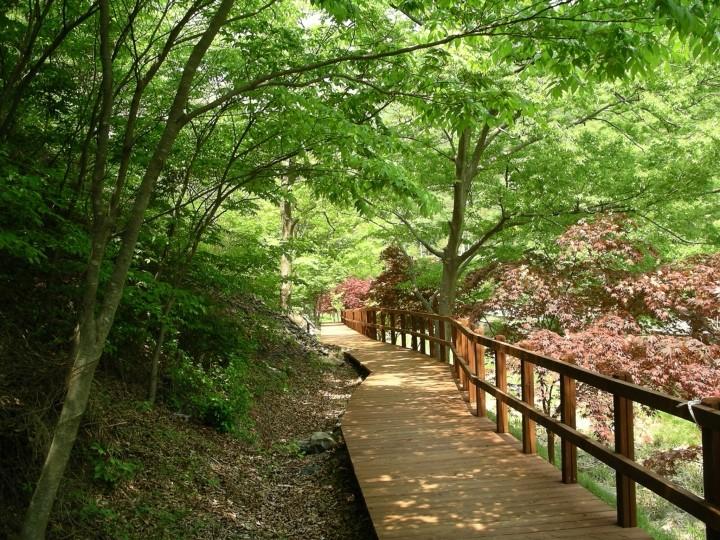 성주산휴양림2.JPG