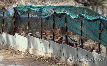 PCM20190201000168051_P2_20191024100958165.jpg?type=w430