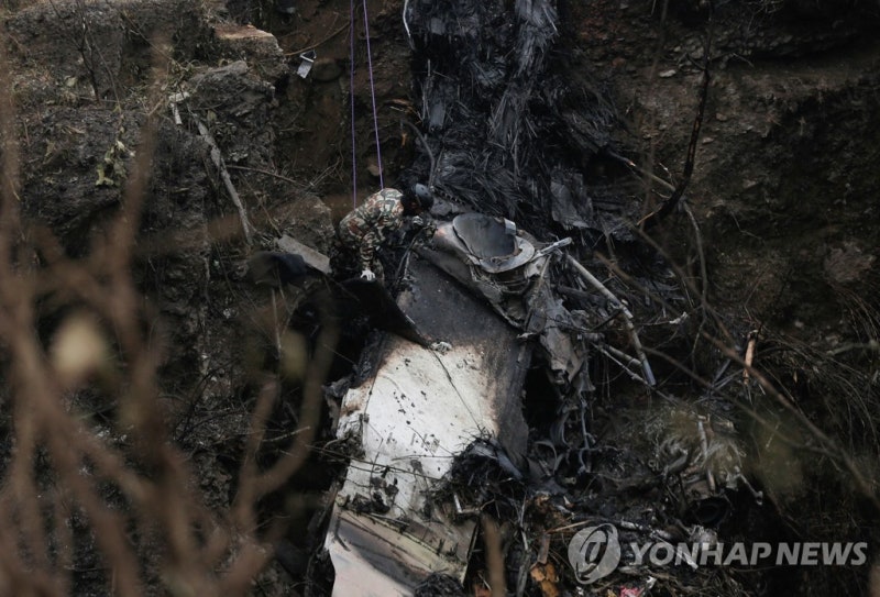 네팔 <b>파일럿</b> <b>부부</b> 비극…17년전 추락사한 남편 이어 아내도 실종