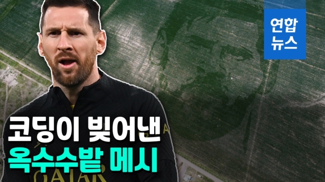 阿根廷足球英雄梅西的脸印在广阔的玉米地里