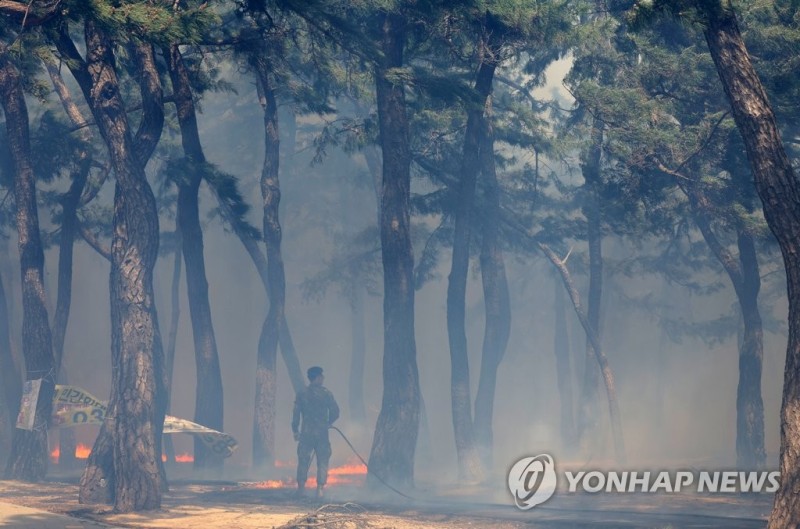 [<b>날씨</b>] <b>강릉</b>에 아침까지 시속 72㎞ 강풍