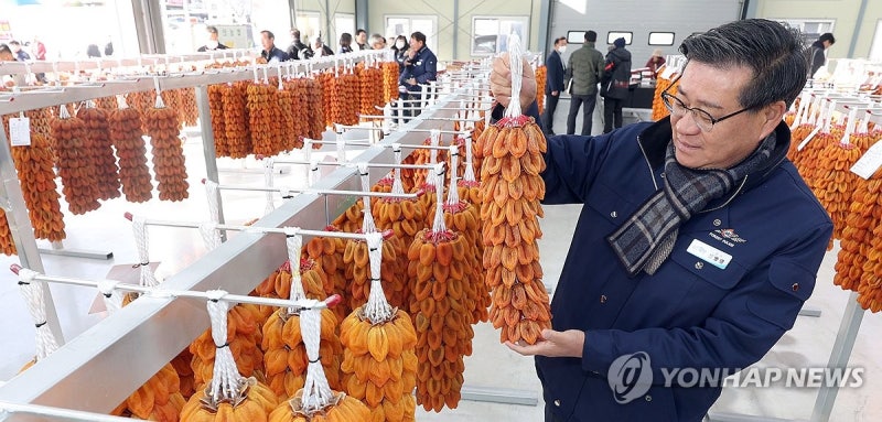 진병영 군수 <b>곶감</b> 확인