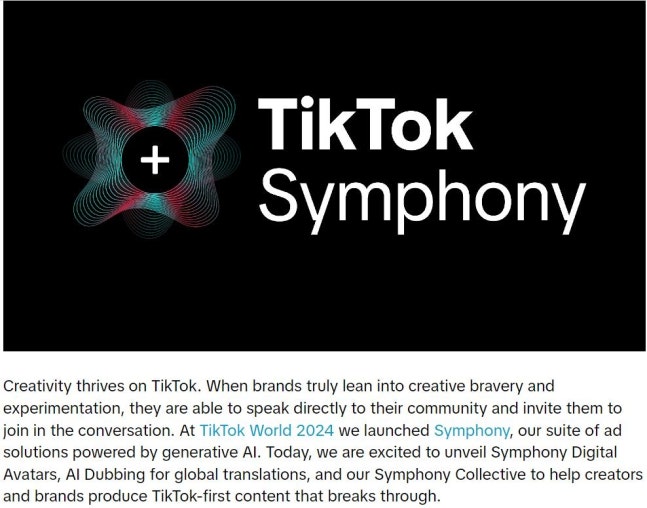 AI 아바타 광고 도구 설명하는 틱톡 사이트
[틱톡(TikYok) 웹사이트 캡처. 재판매 및 DB 금지]