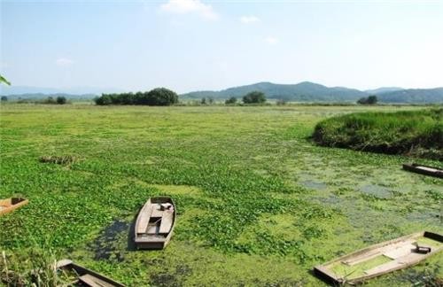 경남 <b>창녕군</b> 전역, <b>유네스코</b> <b>생물권보전지역</b> 지정