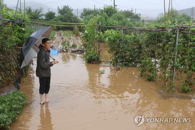 '1년 농사 끝났네'
(대전=연합뉴스) 이주형 기자 = 10일 새벽 강한 비가 쏟아져 대전 서구 용촌동 정뱅이마을이 물에 잠긴 가운데, 몸을 피한 한 주민이 이날 오전 물에 잠긴 밭과 과수원을 지켜보고 있다. 202