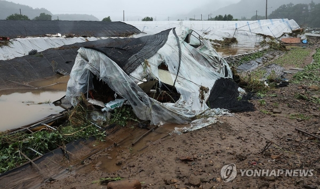 붕괴한 비닐하우스
(완주=연합뉴스) 최영수 기자 = 10일 폭우로 전북 완주군 운주면 엄목마을 앞 비닐하우스가 처참하게 무너져 있다. 2024.7.10 kan@yna.co.kr