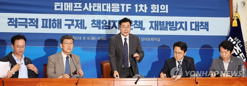 민주, <b>티메프</b>TF 설치…정무위 현안<b>청문회</b> 추진·국조도 검토(종합)