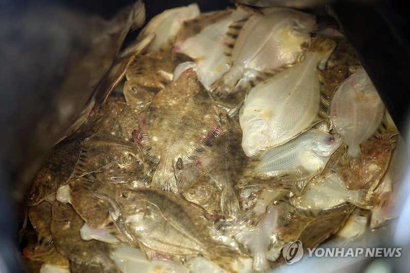 전남 <b>고흥 양식장</b>서 집단폐사