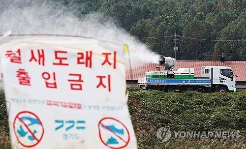 <b>충북</b> 음성 육용오리 농장서 <b>고병원성</b> AI 발생