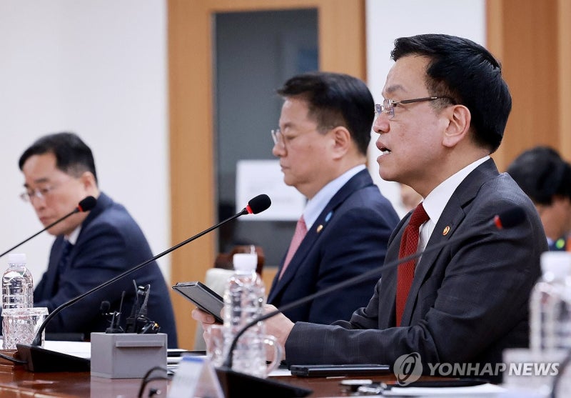 최상목 권한대행, <b>민생범죄 점검회의</b> 발언