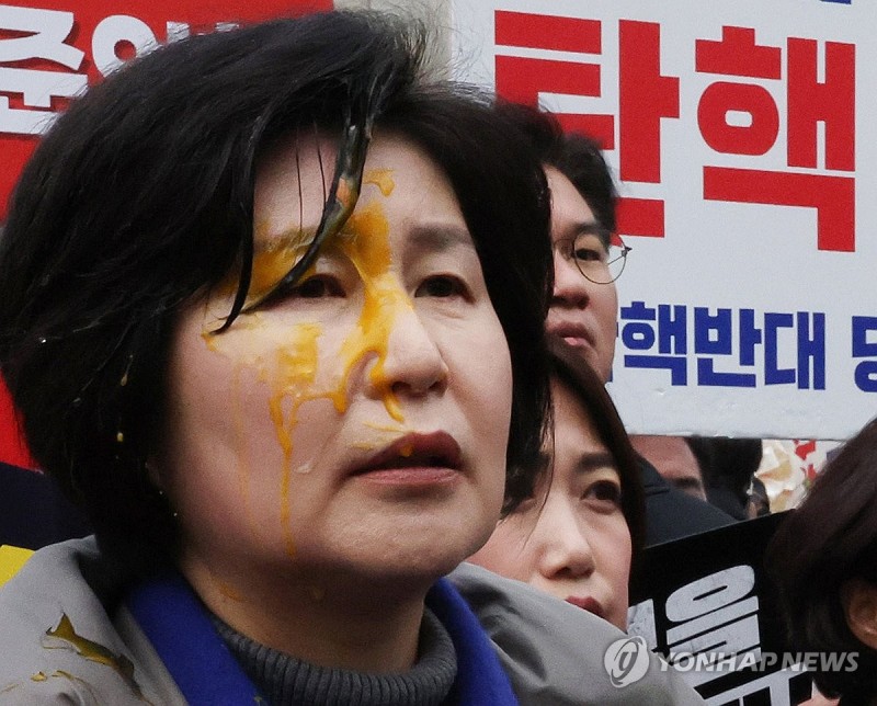 경찰, 野의원 '<b>계란투척</b>' 용의자 추적 중…1인 시위 강제해산