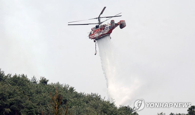 Korean news article image
