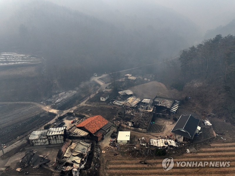 Korean news article image