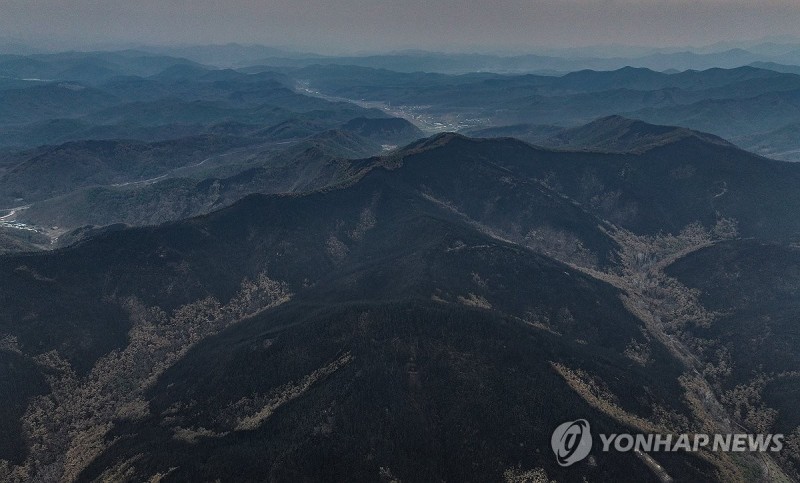 경북 산불진화 85% 완료! 긴급 골든타임, 피해 최소화 해법은?