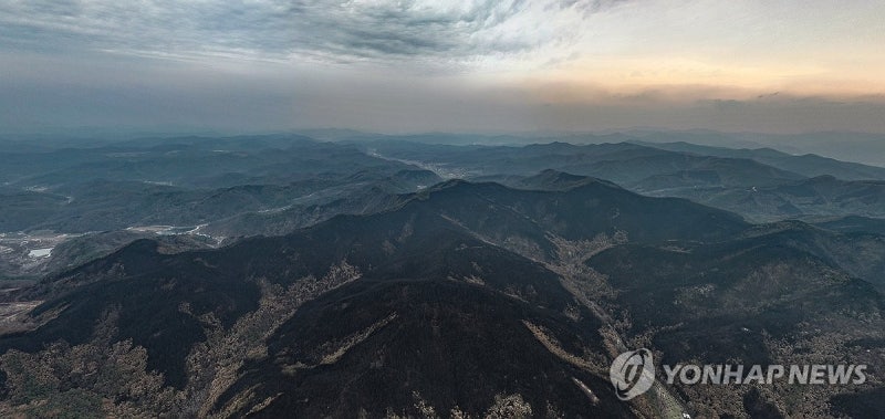 <b>경북</b> 의성 <b>산불</b> <b>진화</b>율 95％…"<b>주불 진화</b> 총력"