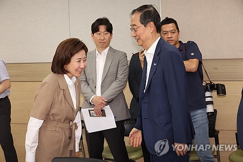 한덕수 대통령 권한대행 국무총리와 국민의힘 나경원 의원
 [연합뉴스 자료사진]