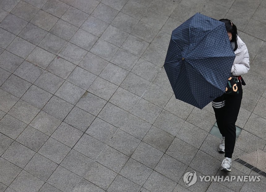 봄비 내리는 서울 (서울=연합뉴스) 김성민 기자 = 서울에 비가 내린 1일 오전 서울 중구 동대문디자인플라자(DDP)에서 한 시민이 우산을 쓰고 있다.2025.5.1 