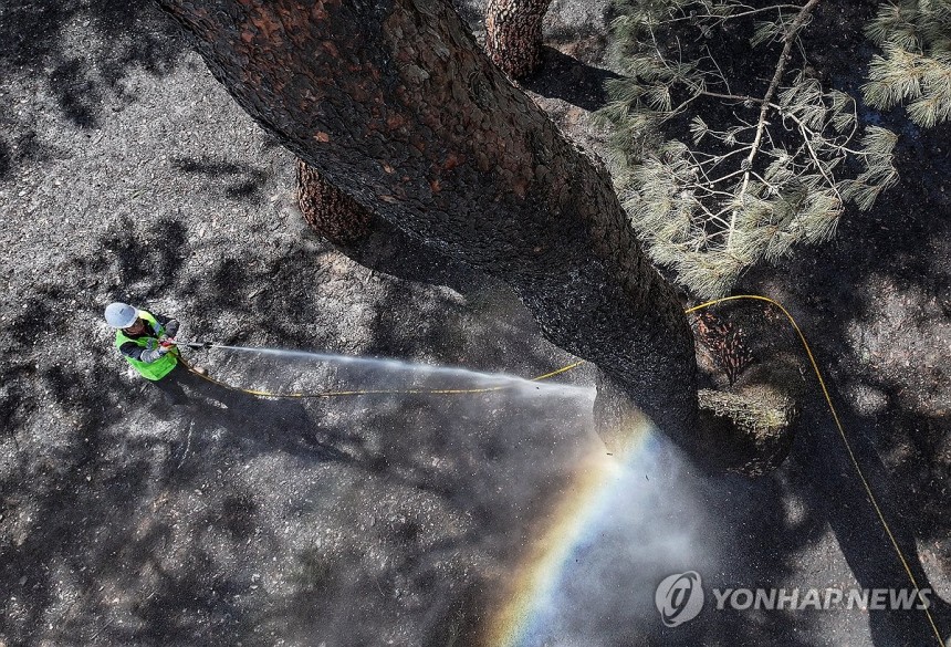 산불에 잿더미 된 자연유산…세척 작업 한창 [연합뉴스 자료사진]