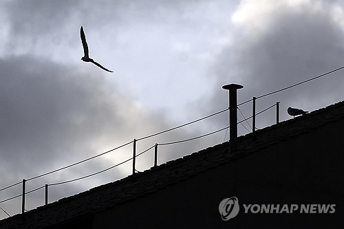 콘클라베 결과를 알릴 시스티나 성당의 굴뚝
[EPA 연합뉴스. 재판매 및 DB 금지]