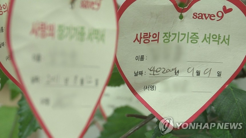 사랑의 장기기증 서약서
[연합뉴스TV 제공]