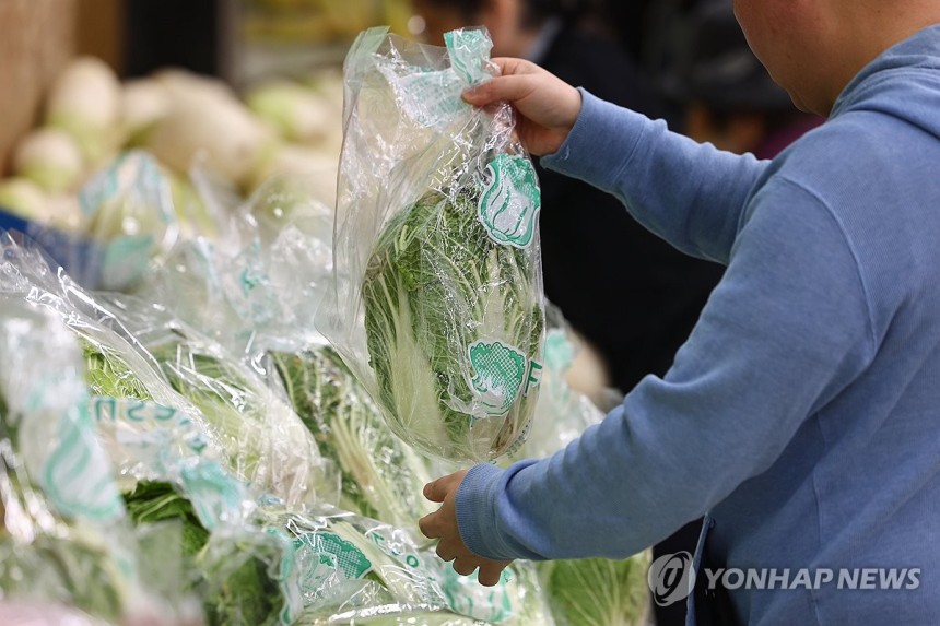 안정세 찾은 농산물 가격 [연합뉴스 자료 사진]