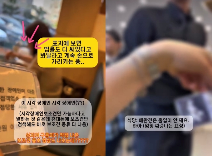 보조견 출입 거부하는 식당 [A씨측 영상 갈무리. 재판매 및 DB 금지] 보조견 출입 거부하는 식당 [A씨측 영상 갈무리. 재판매 및 DB 금지] 장애인 보조견 홍보문 [대전시 제공. 재판매 및 DB 금지]