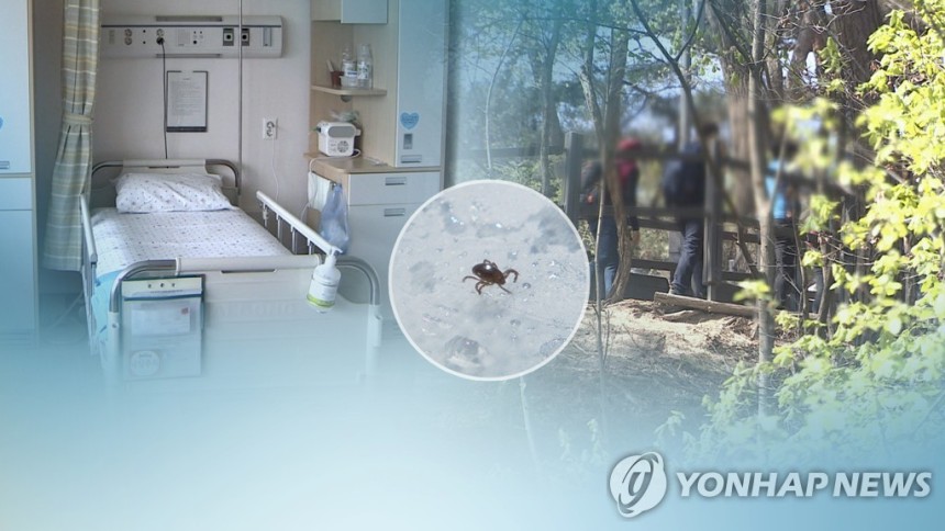 진드기 매개 SFTS 환자 발생 (CG) [연합뉴스TV 제공]
