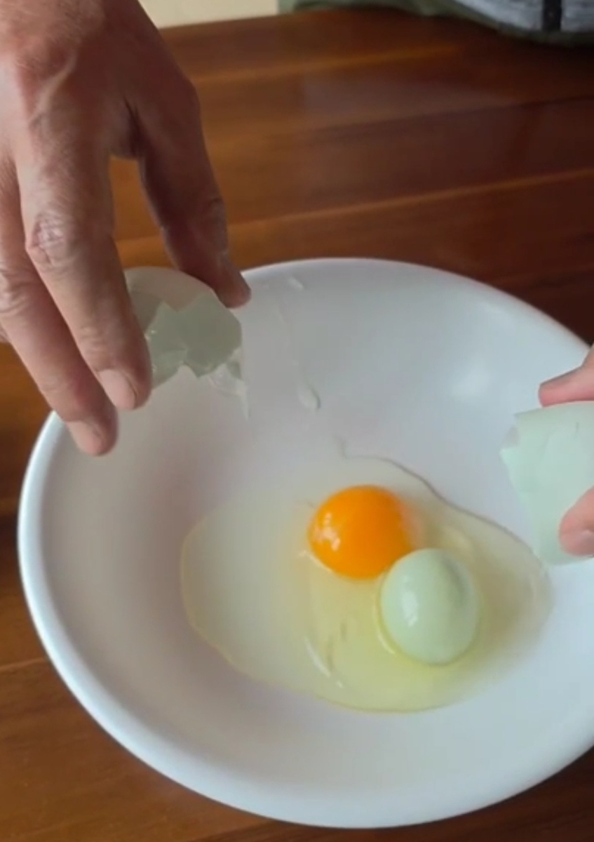 '달걀 속 달걀' [조광현씨 제공 영상 캡처. 재판매 및 DB 금지]