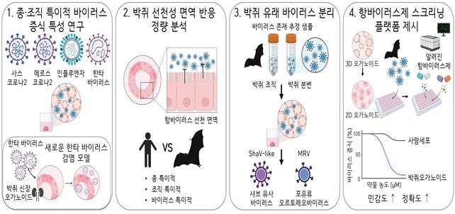 박쥐 오가노이드를 활용한 주요 연구 결과
[IBS 제공. 재판매 및 DB 금지]