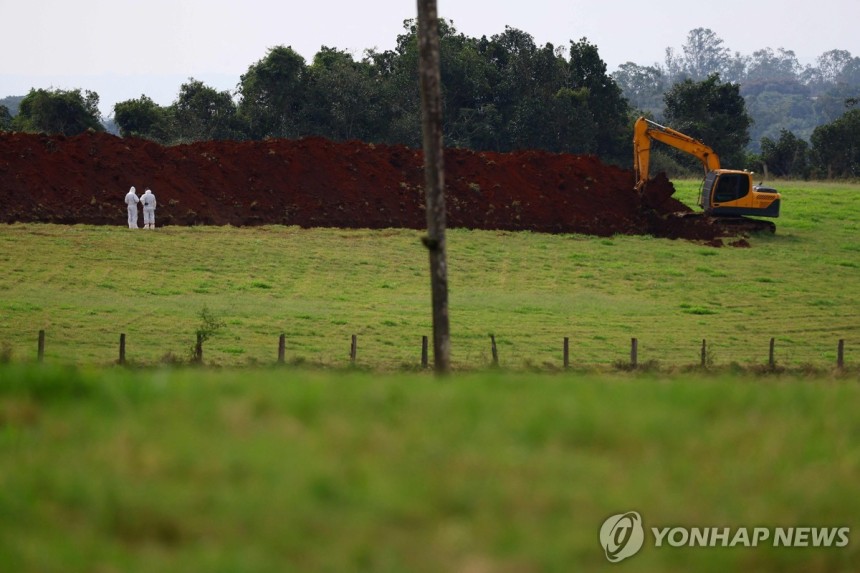 17일(현지시간) 조류 인플루엔자 발생 양계 시설서 작업 중인 브라질 근로자
[몬치네그루 AFP=연합뉴스. 재판매 및 DB 금지]