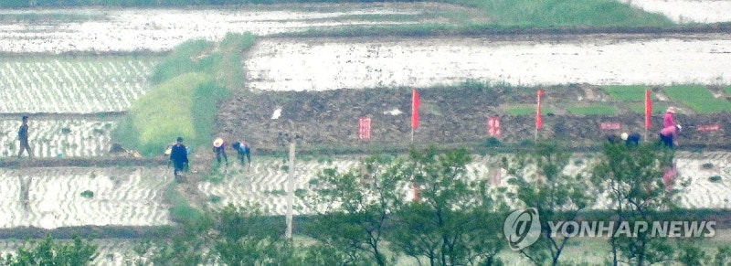 <b>모내기 철</b>에 돌입한 <b>북한</b>