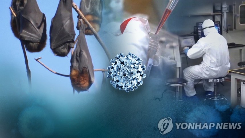 코로나19(CG)
[연합뉴스TV 제공]