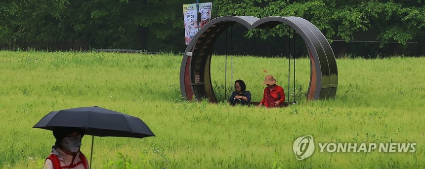 봄비 내리는 청보리밭
[연합뉴스 자료사진]