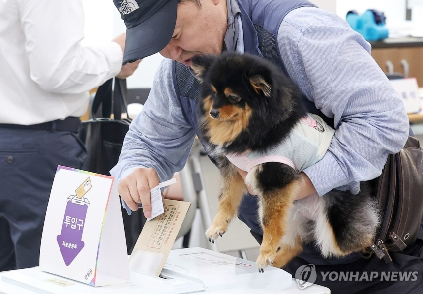 '반려견과 함께'
(서울=연합뉴스) 김성민 기자 = 제21대 대통령선거 사전투표 첫날인 지난 29일 서울 중구 중림동주민센터에 마련된 사전투표소에서 한 시민이 반려견과 함께 투표하고 있다. 2025.5.31 ksm7