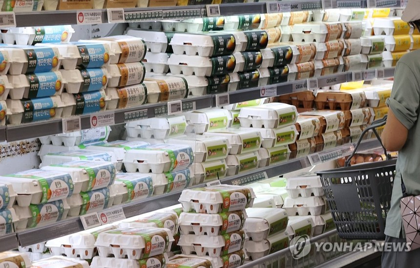 대형마트에 진열된 달걀
※ 기사와 직접적인 관계가 없습니다. [연합뉴스 자료 사진]