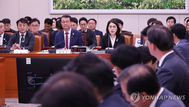 질의에 답변하는 <b>강인선 외교부</b> 2<b>차관</b>