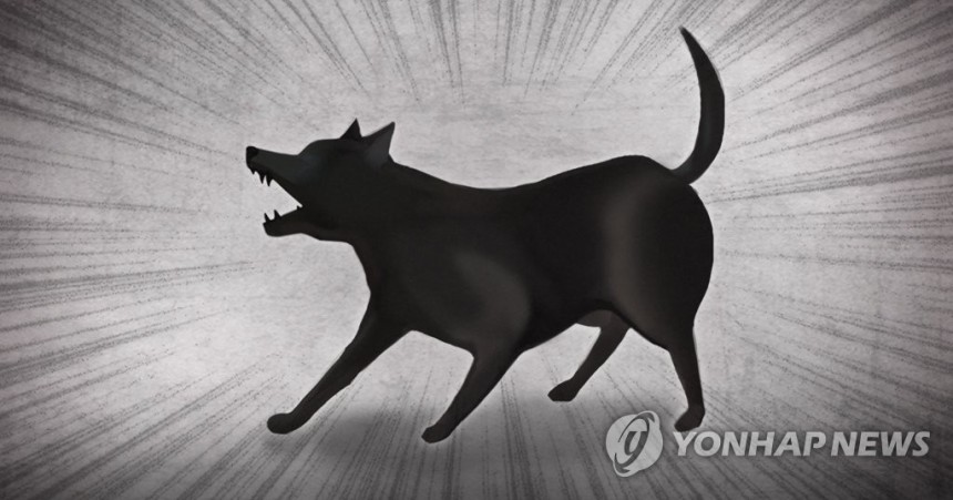 동물 학대
[제작 정연주] 일러스트