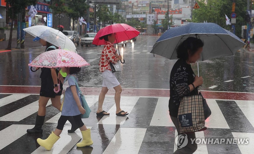 '비 뚝뚝'
[연합뉴스 자료사진]