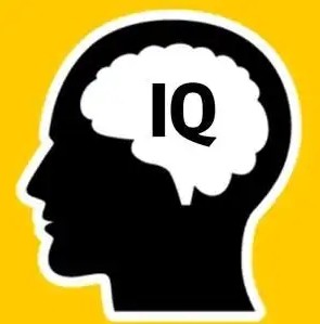 IQ 테스트
[바이두 화면 캡처. 재판매 및 DB 금지]