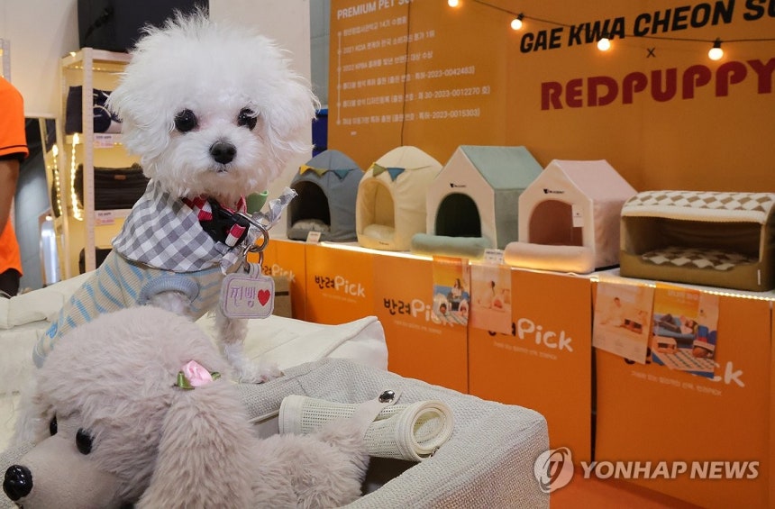 한국인 30%, 반려동물 기르지만…하루 6시간 동물 홀로 집에
(고양=연합뉴스) 김병만 기자. 2025.3.7 kimb01@yna.co.kr