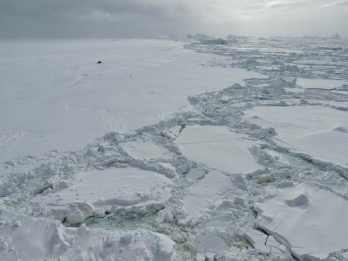 남극해 해빙(sea ice)
[University of Southampton 제공. 재판매 및 DB 금지]