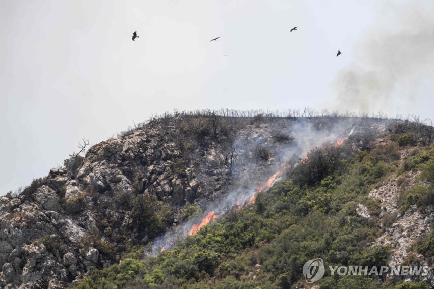 프랑스 비자네에서 발생한 산불
[AFP=연합뉴스 자료사진. 재판매 및 DB 금지]