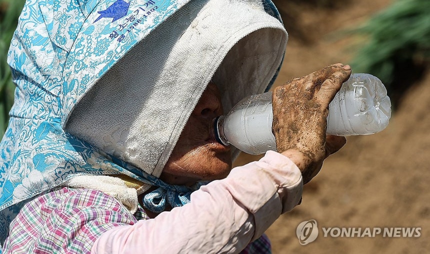 폭염, 수분 보충은 필수
(고령=연합뉴스) 윤관식 기자 = 무더위가 계속되며 폭염특보가 발효 중인 2일 경북 고령군 다산면의 한 밭에서 파 모종을 심던 농민이 얼음물을 마시며 더위를 식히고 있다. 2025.7.2 p