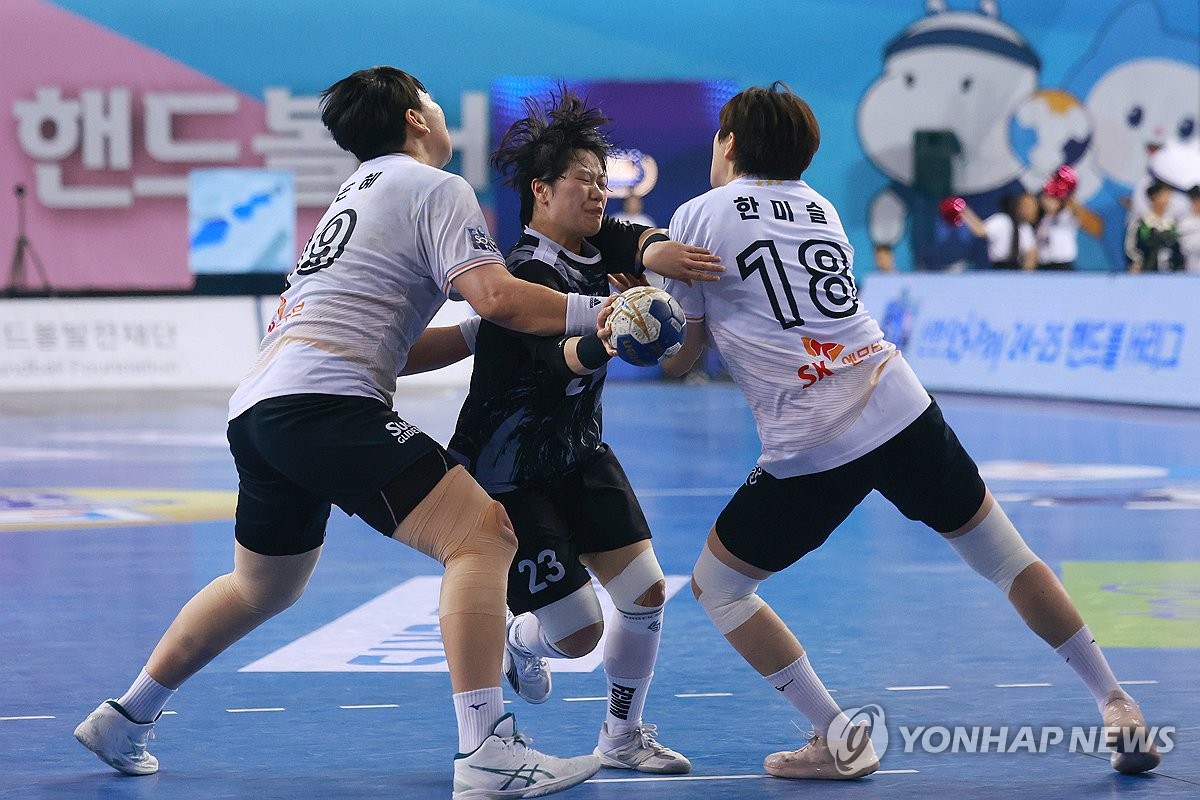 <b>핸드볼 디비전리그</b> 출범…5일 여자 대학·성인부 <b>개막</b>