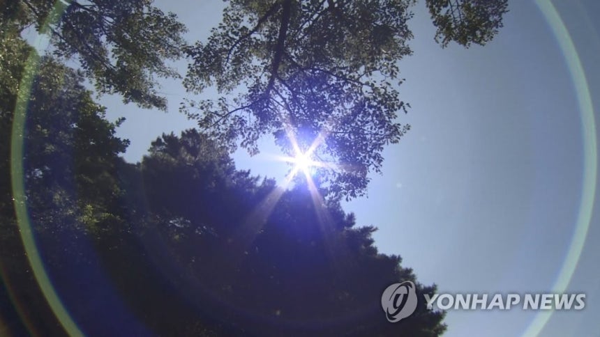 폭염
[연합뉴스TV 제공]