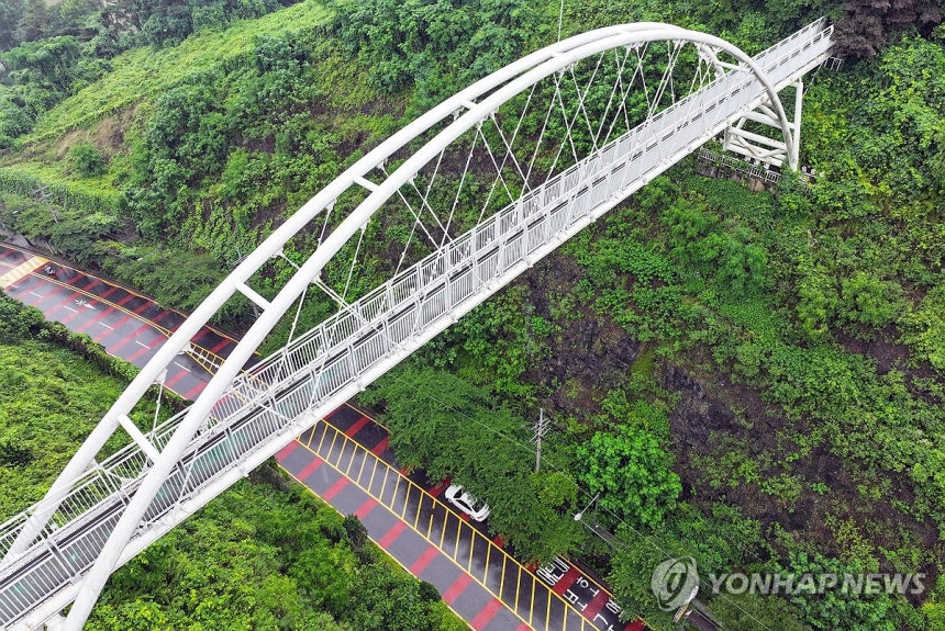 추락 사고 잇따르는 광주 제석산 구름다리
[연합뉴스 자료사진]
